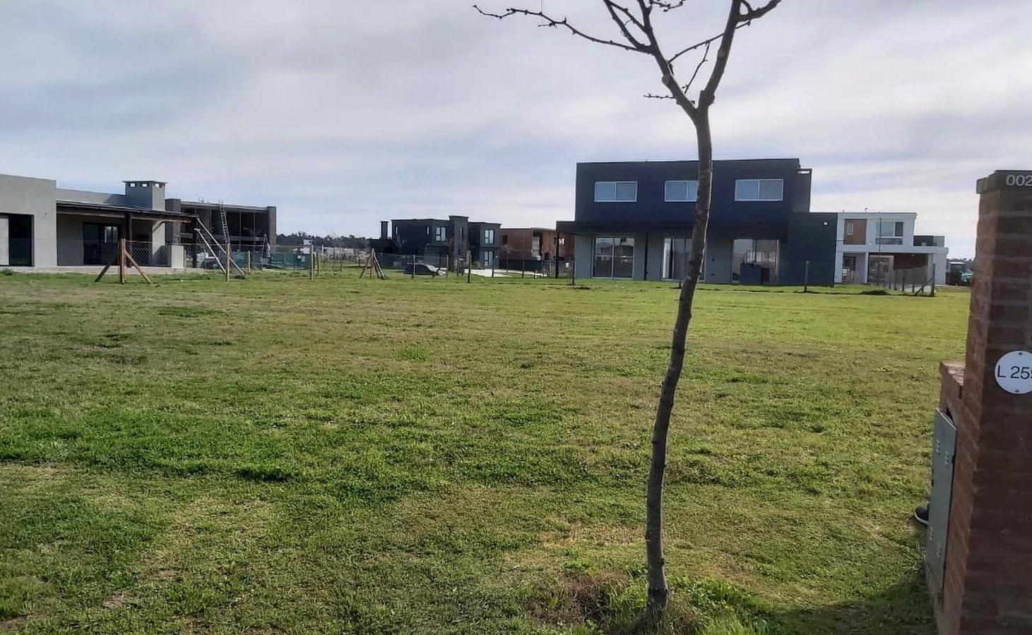 Foto de Terreno - Riberas, imagen 3