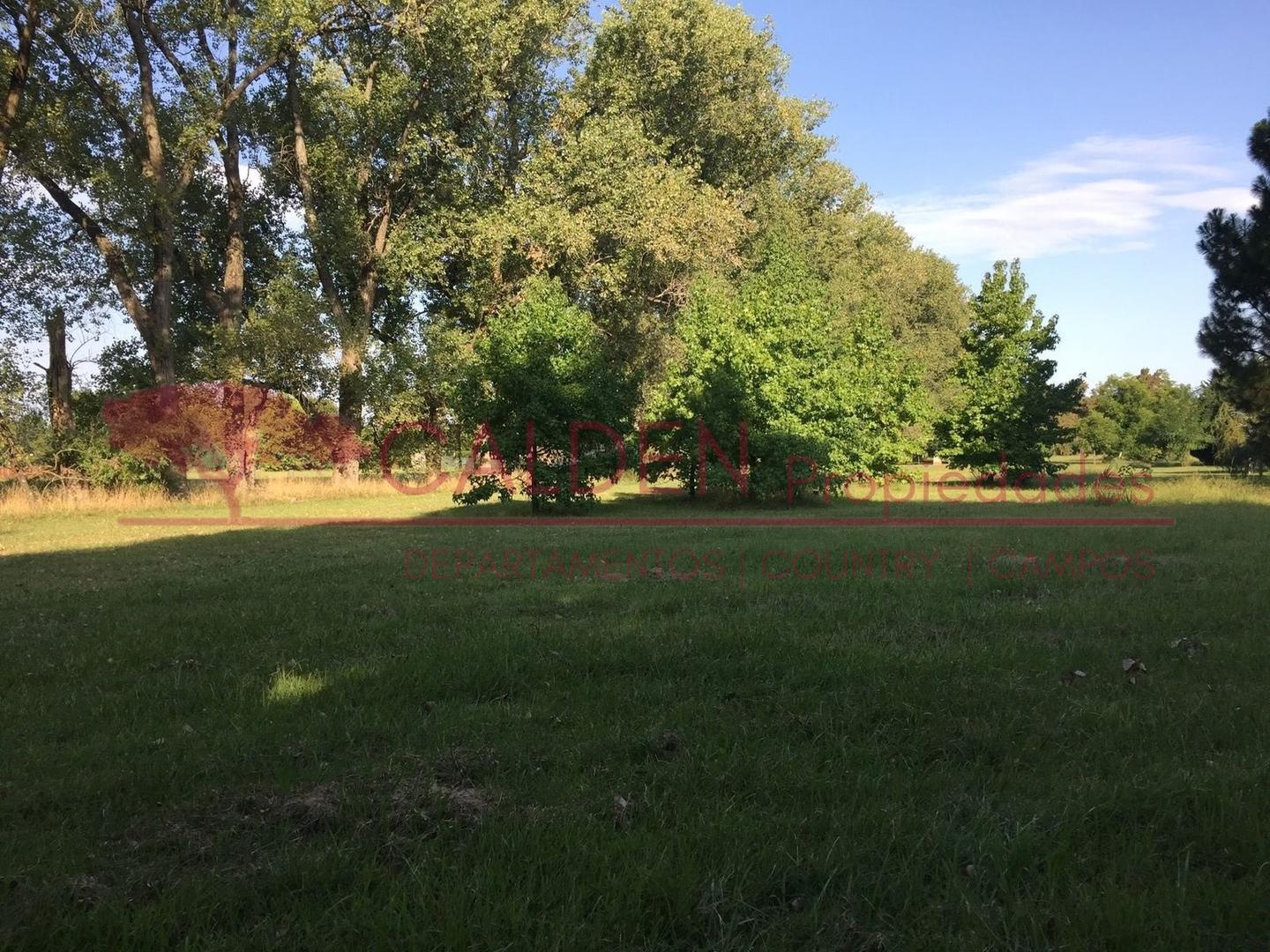 Foto de VENTA DE LOTE DE 2.600 M² | ESTANCIA VILLA MARÍA – CANNING, imagen 4