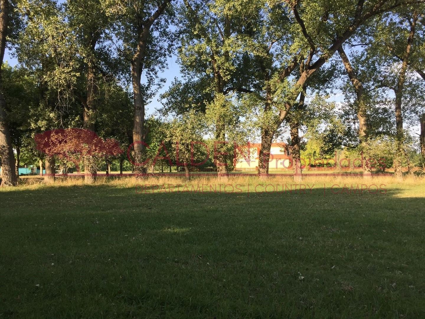 Foto de VENTA DE LOTE DE 2.600 M² | ESTANCIA VILLA MARÍA – CANNING, imagen 3