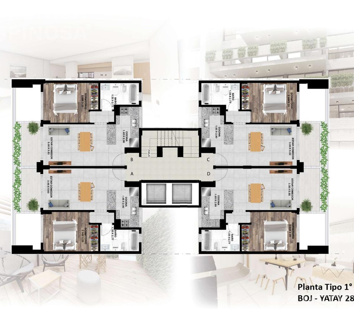 Plano 6