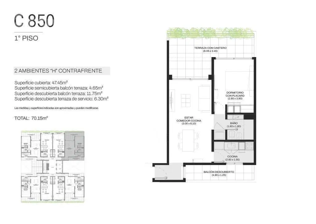 Plano 6