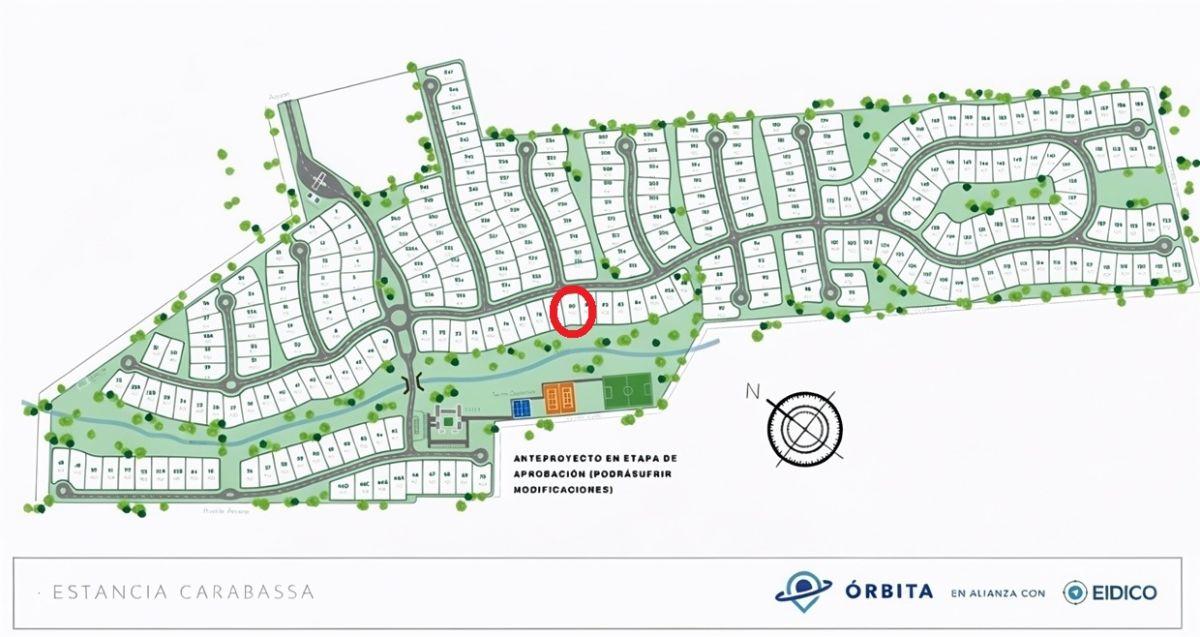 Foto de Lote Central de 800 m2 lindando a área común, imagen 4