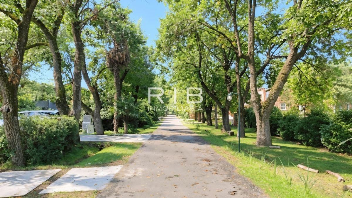 Foto de Venta con Renta - Impecable Propiedad Moderna sobre el GOLF, imagen 5