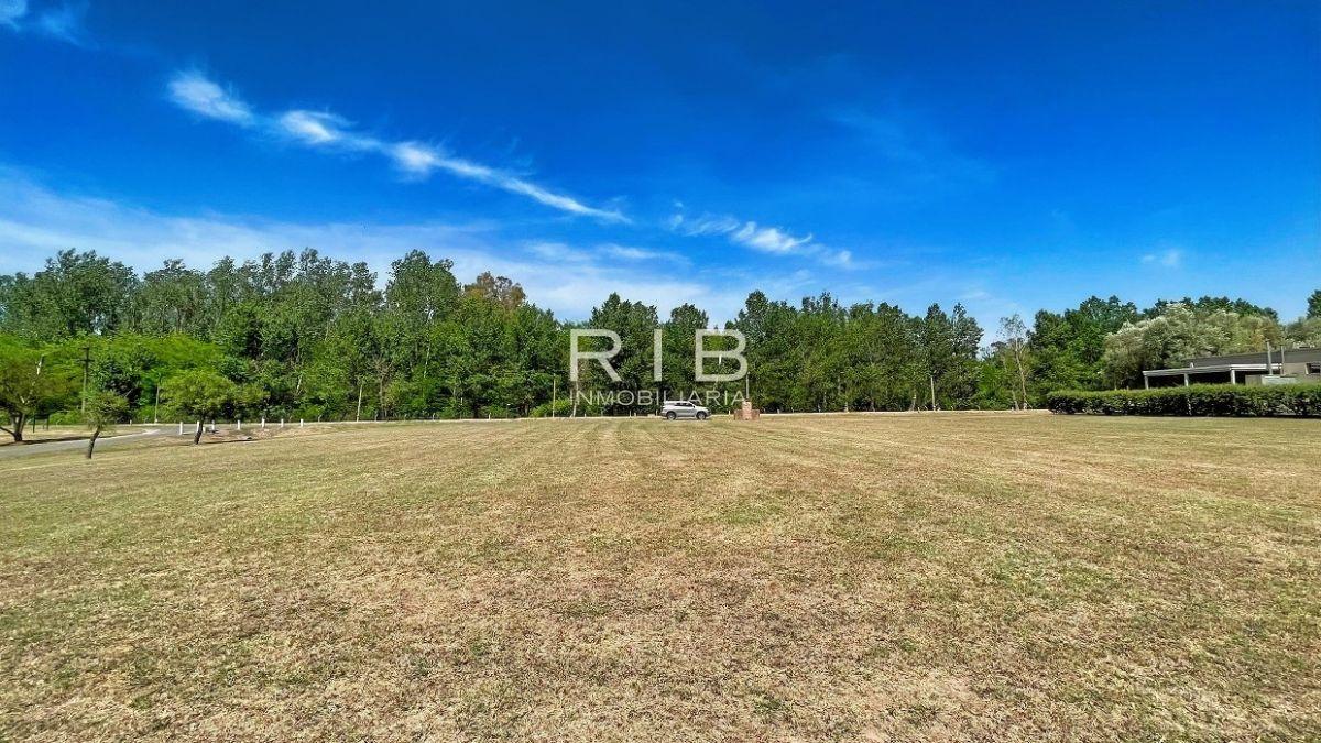 Foto de Excelente Lote al Golf de 1500 m2, imagen 4