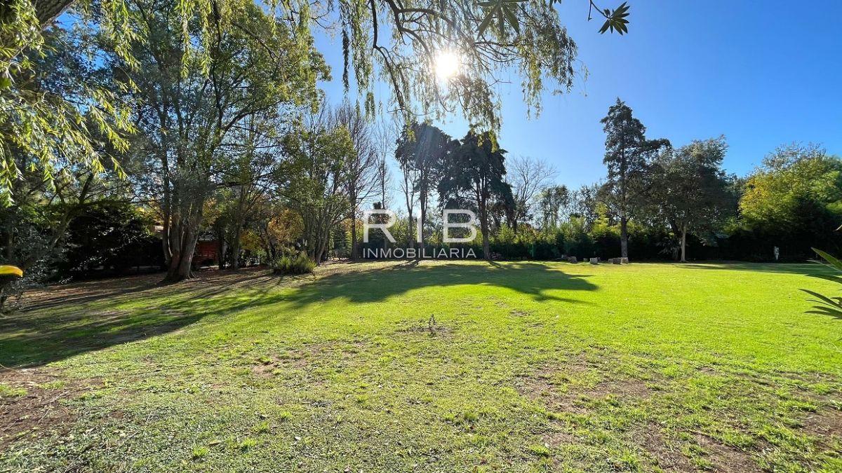 Foto de Lote de 1000 m2 completamente parquizado, imagen 4