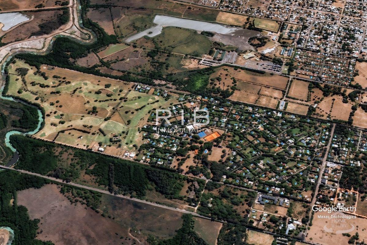 Foto de Lote de 1000 m2 completamente parquizado, imagen 5