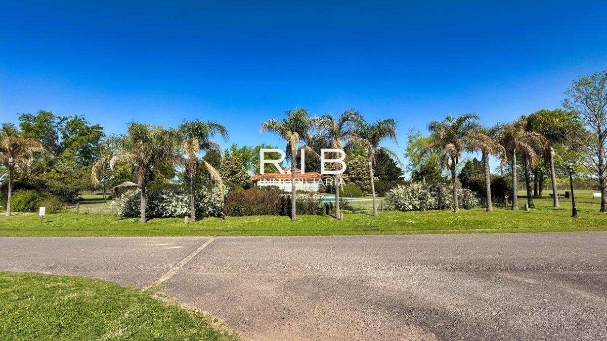 Foto de Lote Central de 1004 m2 - Orientación Norte - Sobre Boulevard, imagen 5
