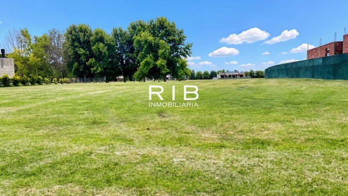 Foto de Excelente Lote en El Milord - Pilará, imagen 5