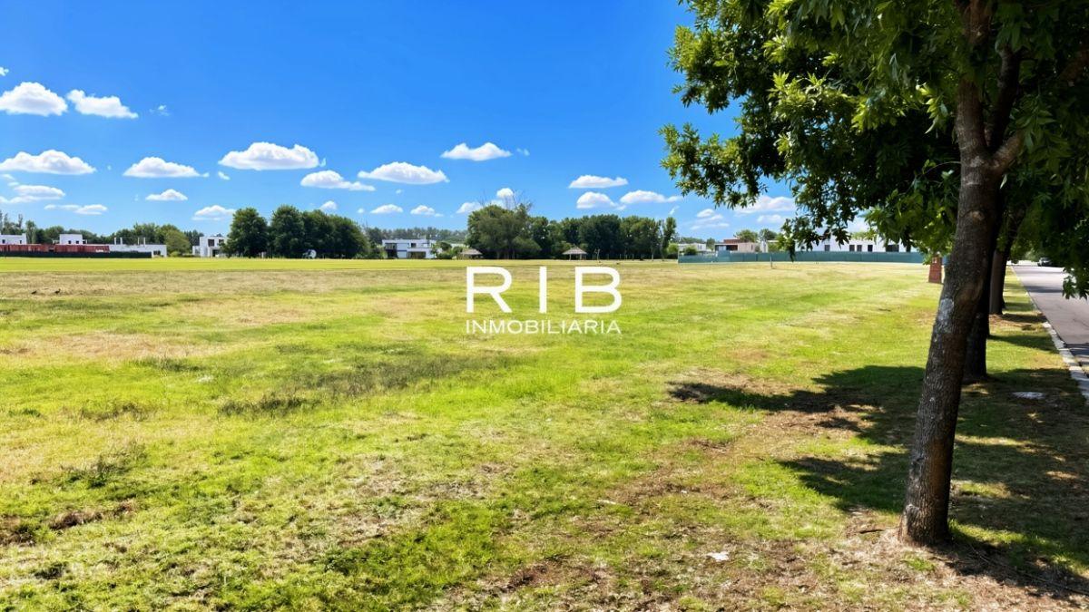 Foto de Excelente Lote en El Milord - Pilará, imagen 2