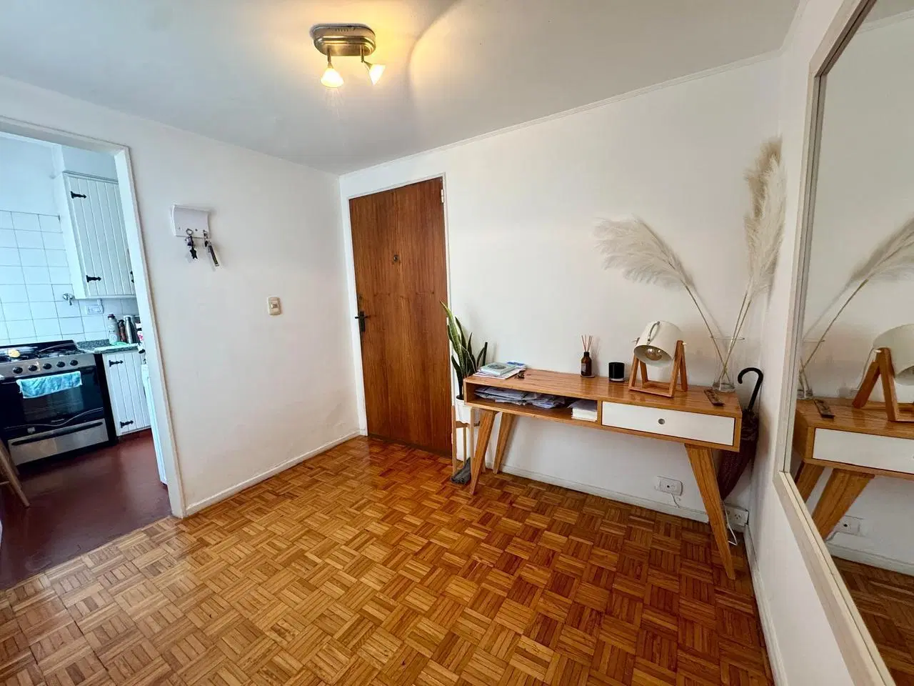 Departamento - Recoleta 3