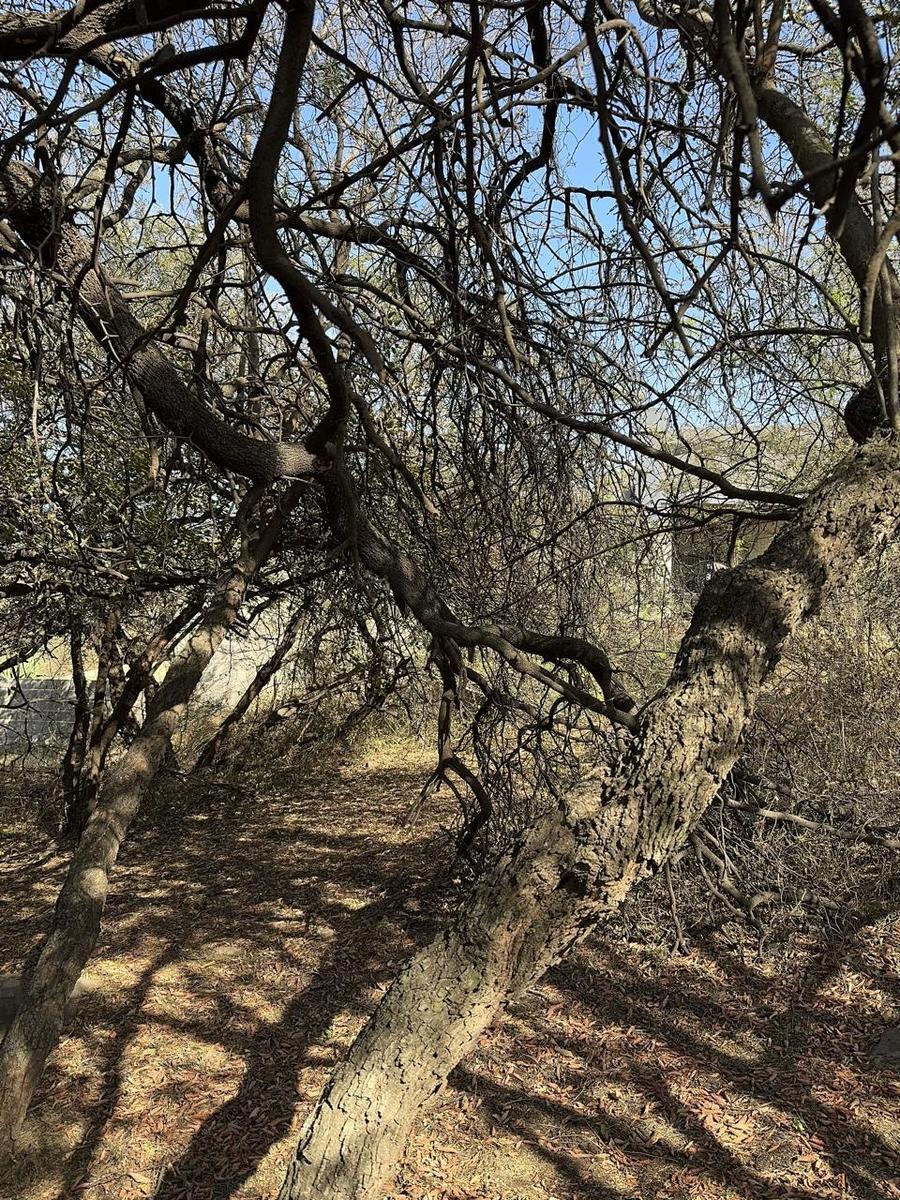 Foto de VENTA| TERRENO en Country La Rufina, imagen 4