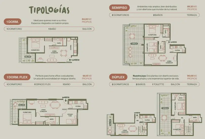 Plano 1