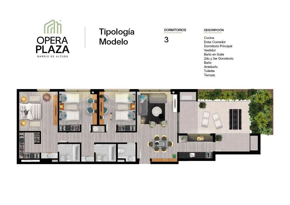 Plano 6