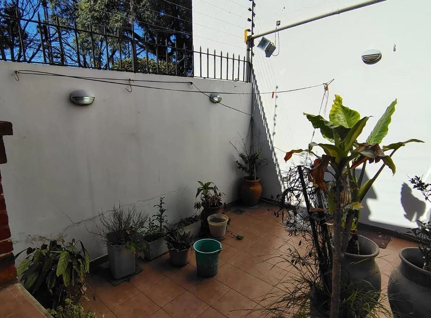 3 Amb con Patio, Jardín de Invierno y Parrilla en Florida 3