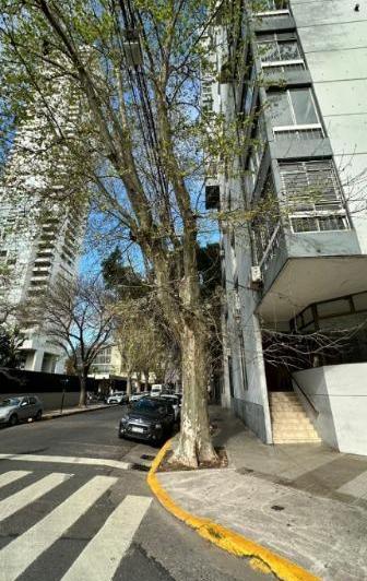 Departamento en Alquiler en Palermo 5