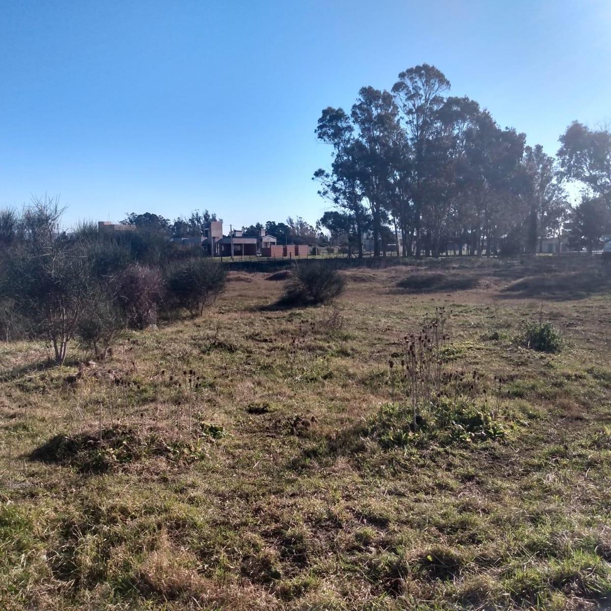 Terreno Venta 8850 M2 Sobre Ruta 55