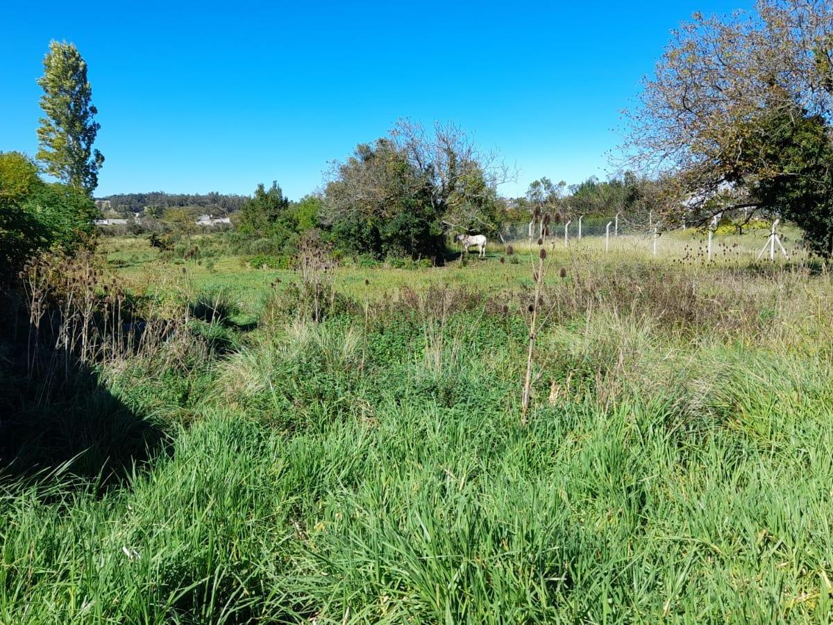 Lotes en Venta Al Pie de La Sierra 3