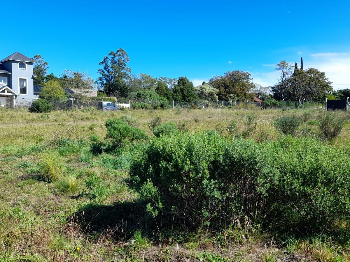Lotes en Venta Al Pie de La Sierra 4