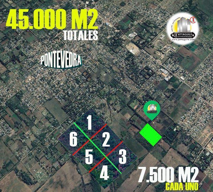 Lote . | PAZ SOLDAN 2200