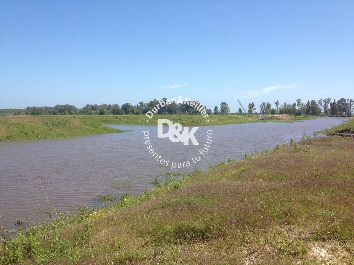 Foto de Lote en venta de 976m2 ubicado en Villa Paranacito, imagen 2