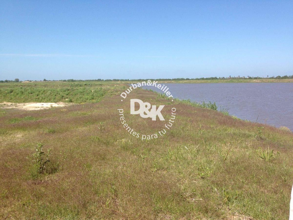 Foto de Lote en venta de 976m2 ubicado en Villa Paranacito, imagen 5