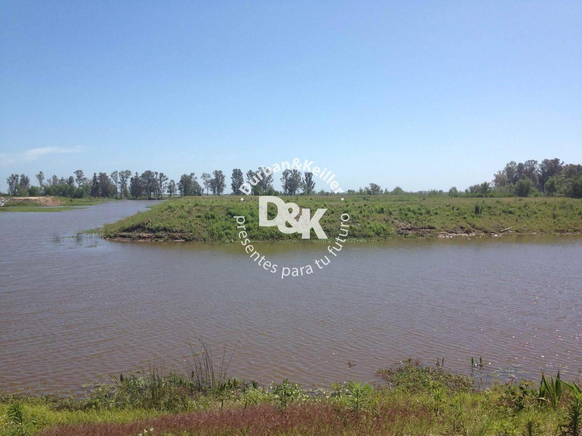 Foto de Lote en venta de 976m2 ubicado en Villa Paranacito, imagen 3