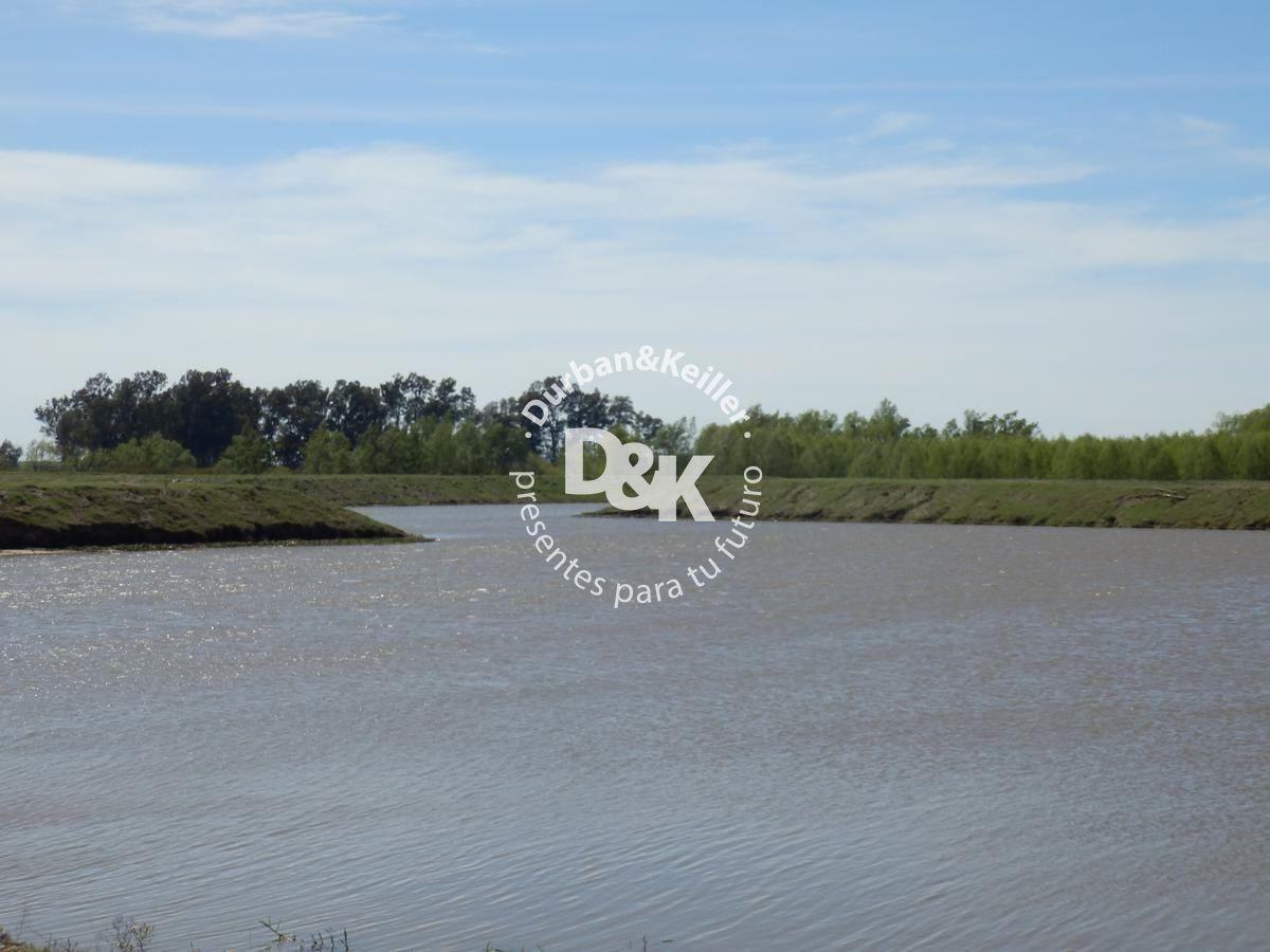 Foto de Lote en venta de 976m2 ubicado en Villa Paranacito, imagen 4