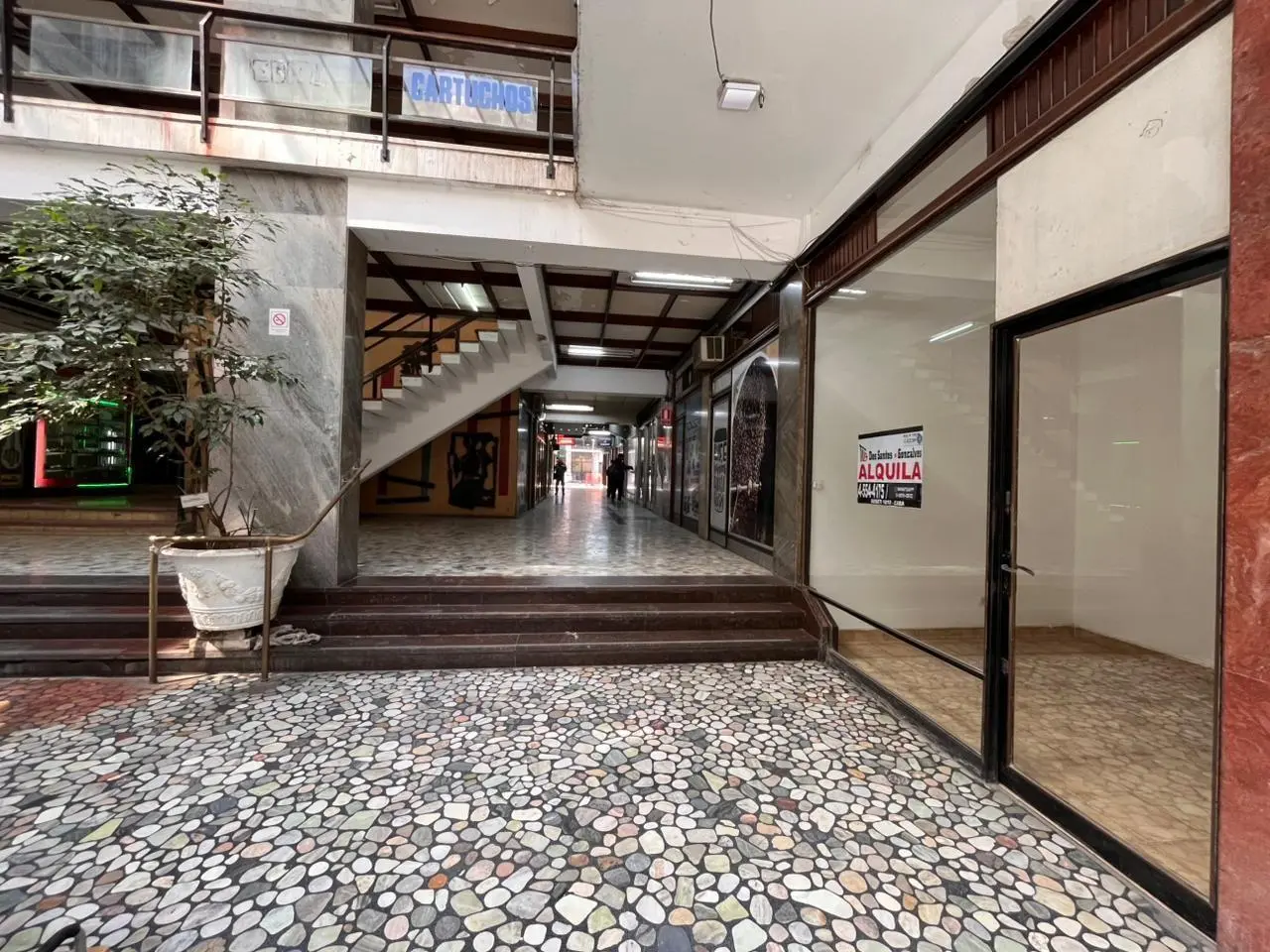 Local . | TUCUMAN al 700 4