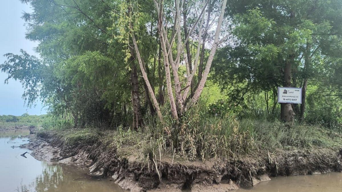 Foto de Lote Arroyo Doradito, imagen 4