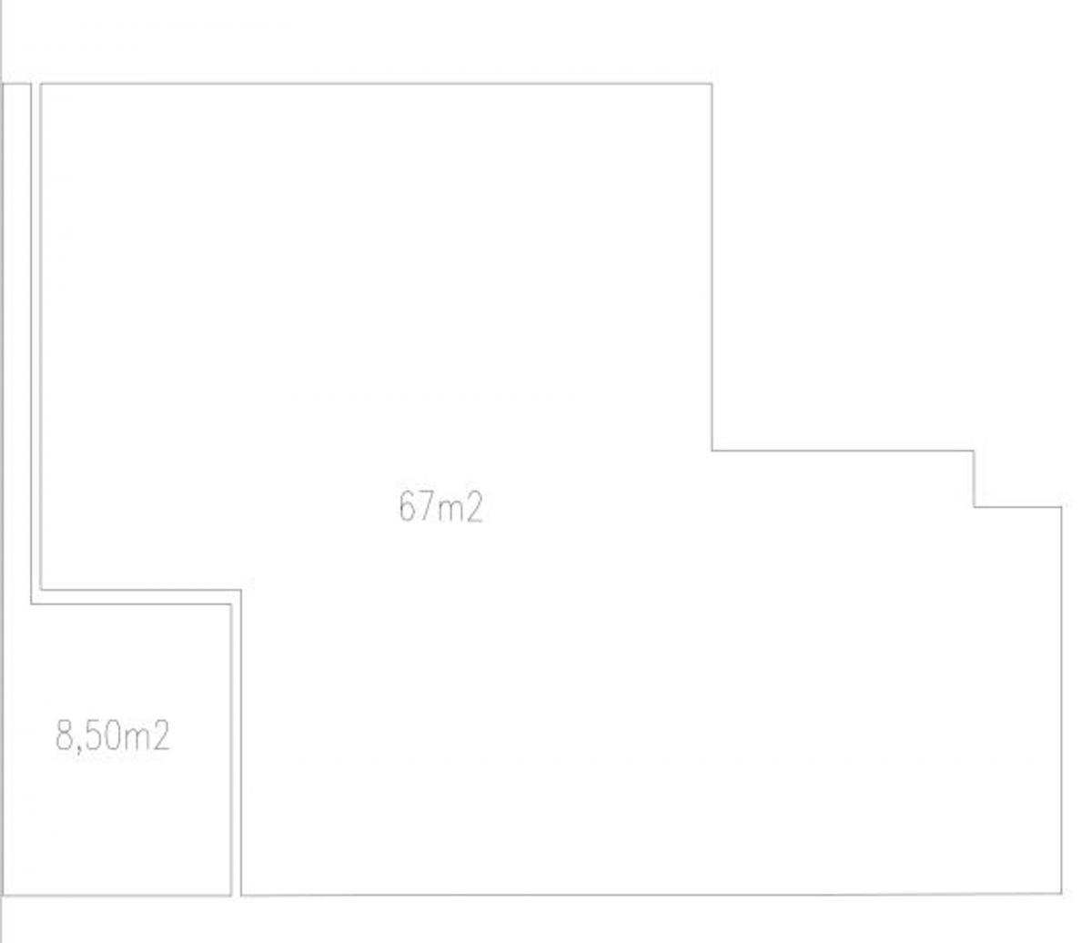 Plano 6