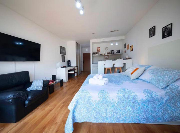 Mono ambientes amueblado en Edificio Premium 2