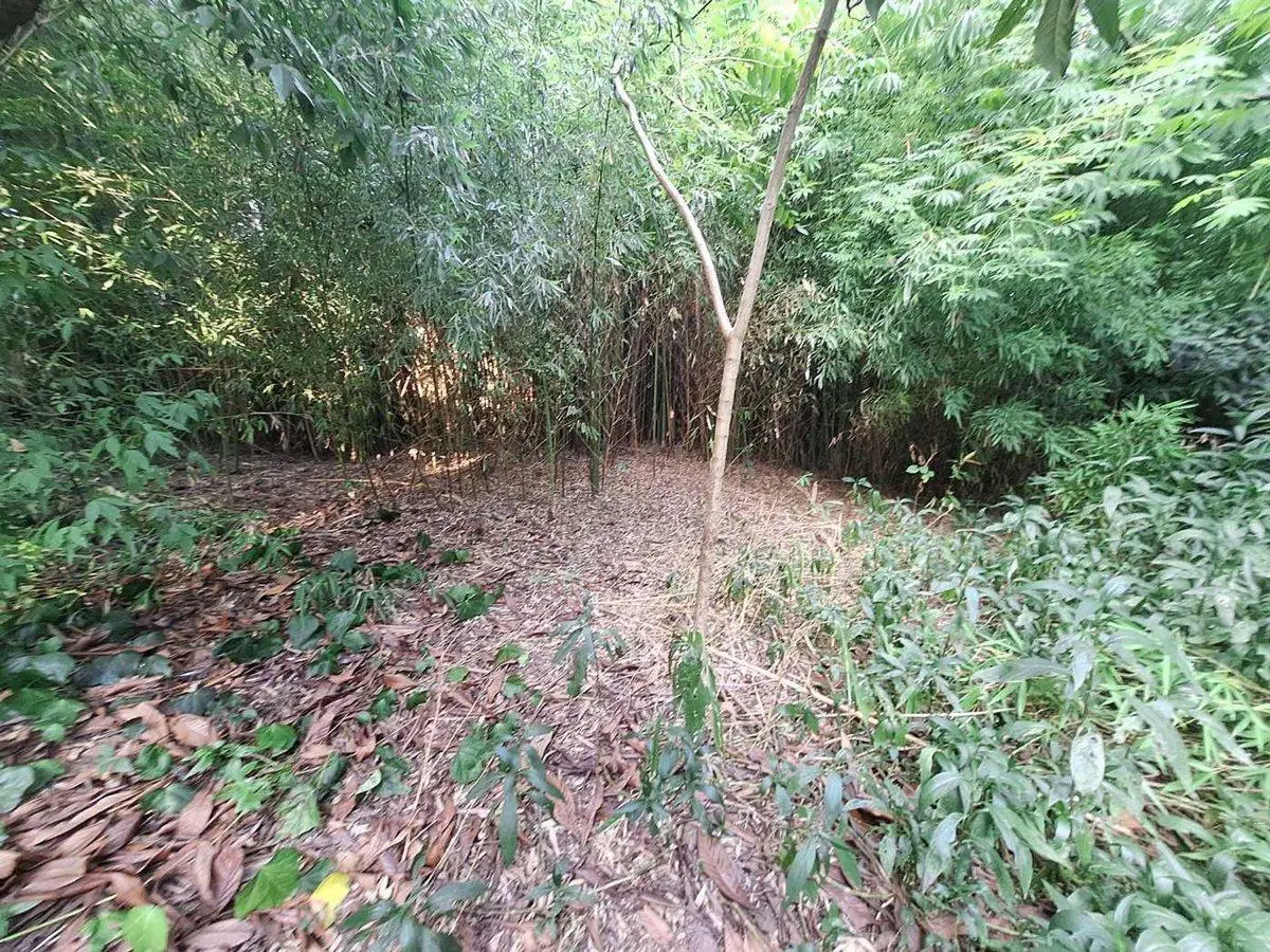 TERRENO LOTE VENTA DON TORCUATO TIGRE OPORTUNIDAD 3