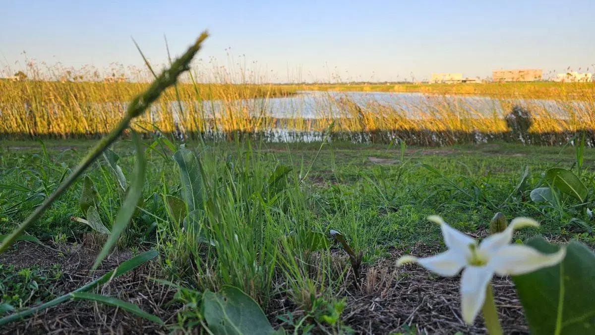 VENTA LOTE BARRIO AMARRAS I, PUERTOS DEL LAGO 5