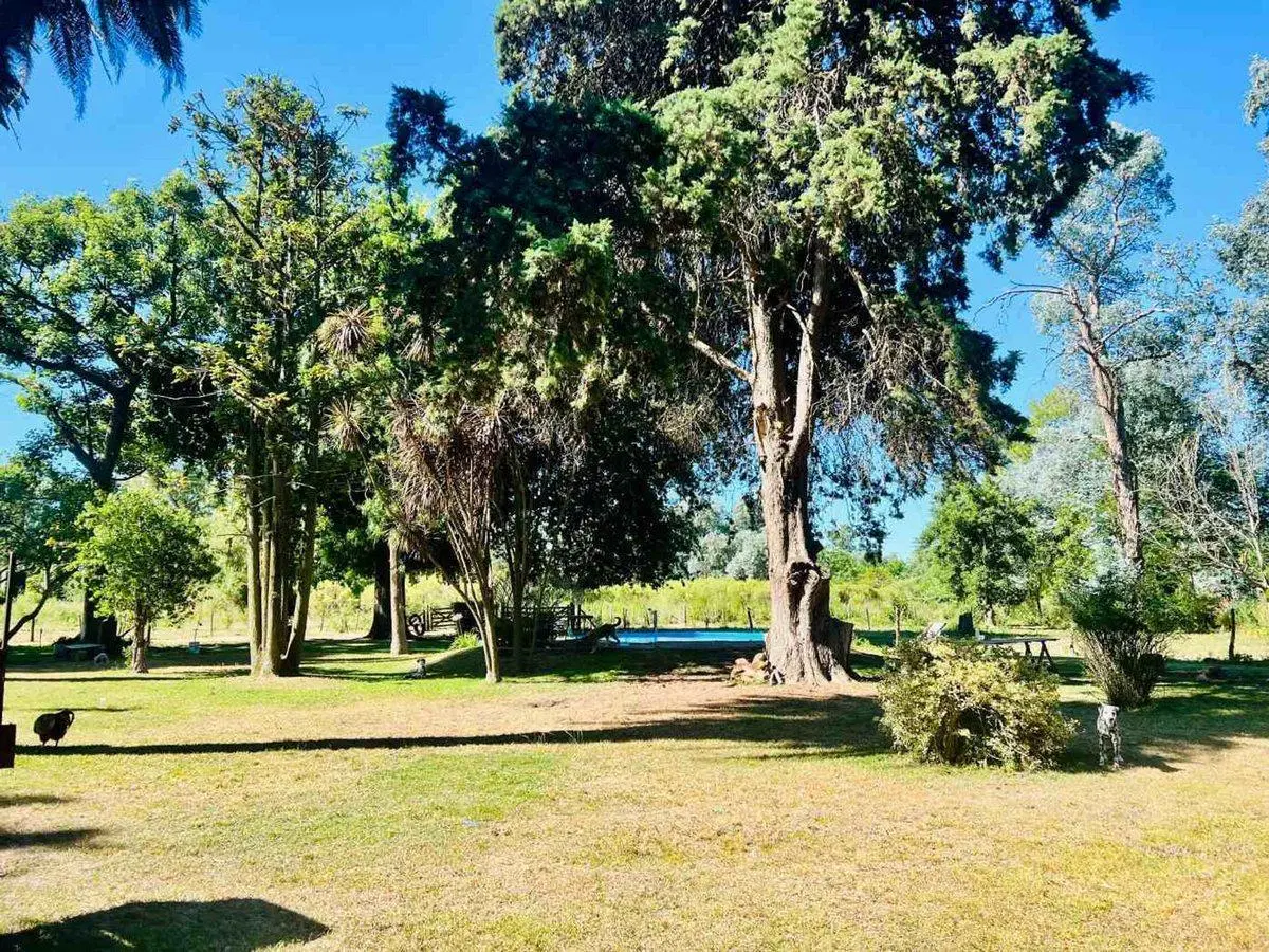 Venta Terreno 7 Hectareas Escobar El Cazador 5
