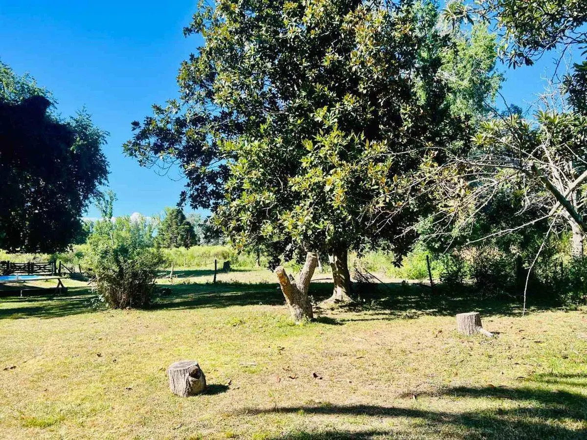 Venta Terreno 7 Hectareas Escobar El Cazador 4