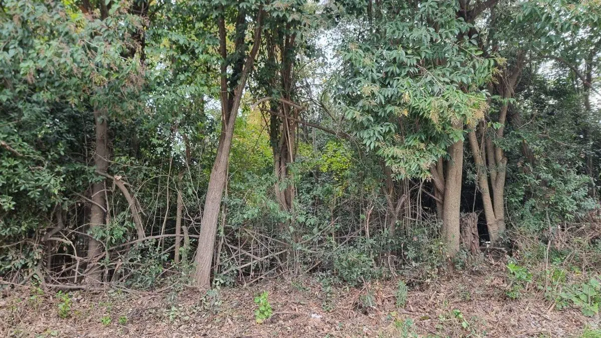 VENTA LOTE EN ESQUINA MARCOS PAZ CERCA DEL CENTRO 2