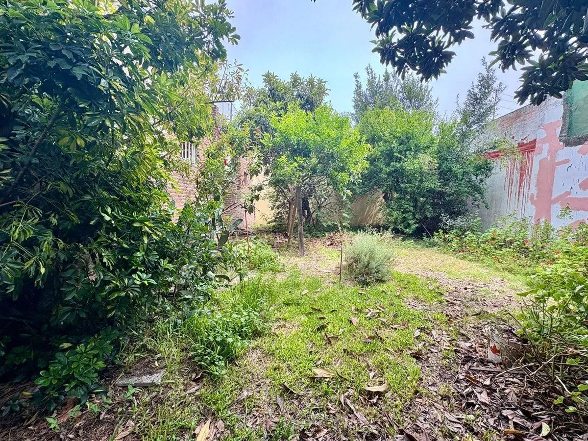Casa Multifamiliar Villa Bosch Venta Jardín 2