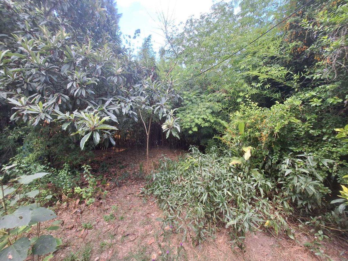 Foto de TERRENO LOTE VENTA DON TORCUATO TIGRE OPORTUNIDAD, imagen 3