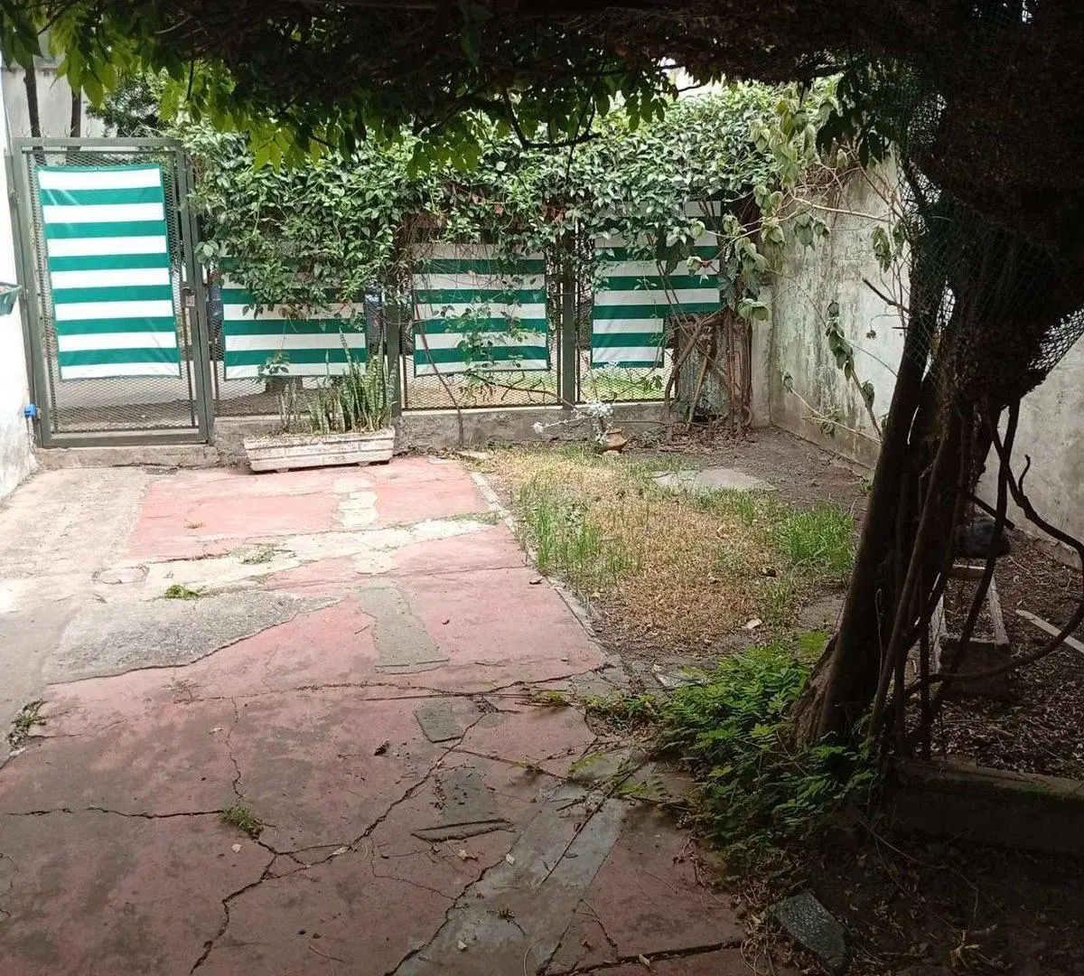 VENTA PH A RECICLAR TRES AMB COCH CIUDAD JARDIN 5