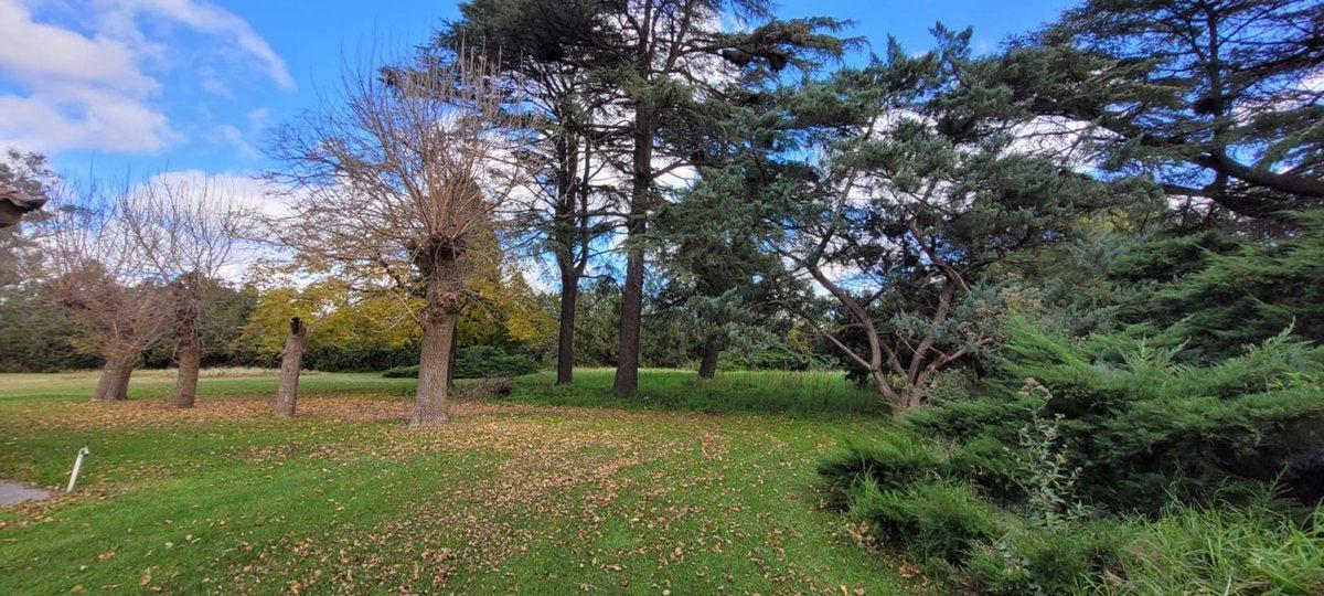Foto de Venta campo quinta permuta 3 hectáreas U-R4 Pilar, imagen 2