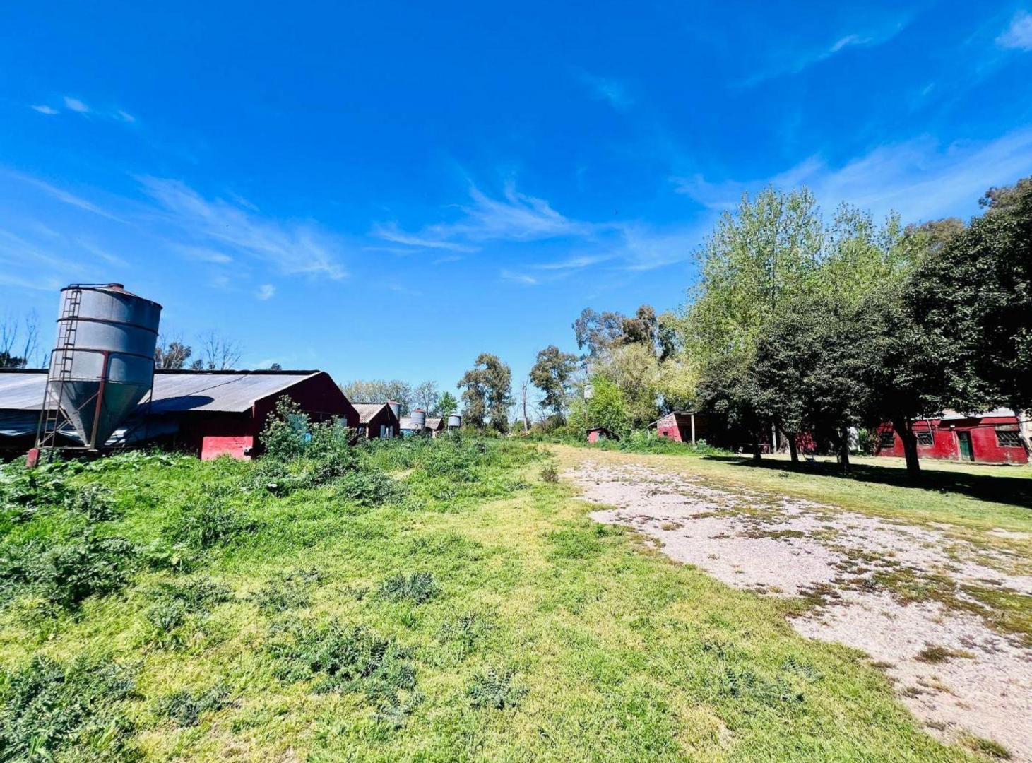 Foto de Venta Lote 4 ha Pilar Ideal Loteo o Prod Agricola, imagen 5