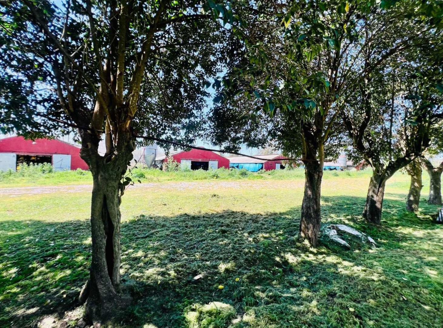 Foto de Venta Lote 4 ha Pilar Ideal Loteo o Prod Agricola, imagen 1
