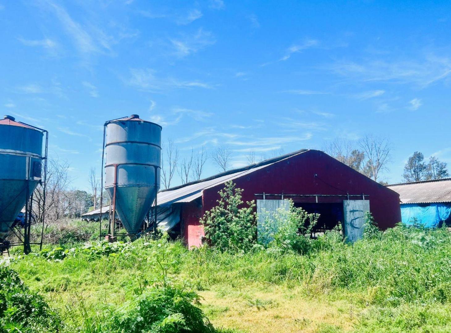 Foto de Venta Lote 4 ha Pilar Ideal Loteo o Prod Agricola, imagen 4