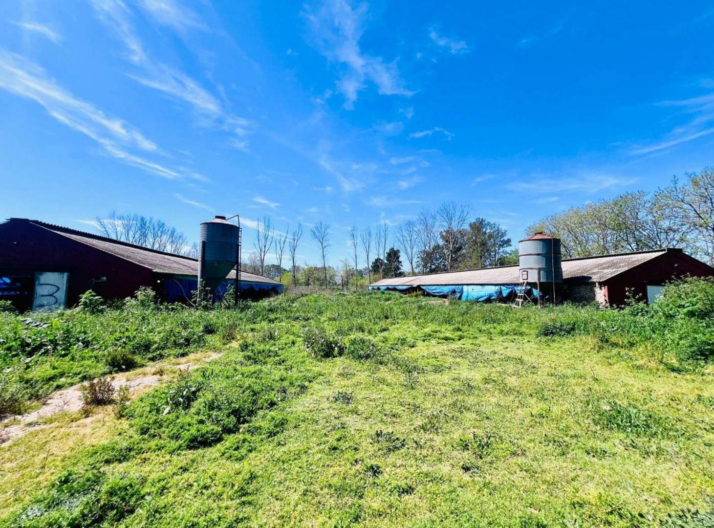 Foto de Venta Lote 4 ha Pilar Ideal Loteo o Prod Agricola, imagen 2