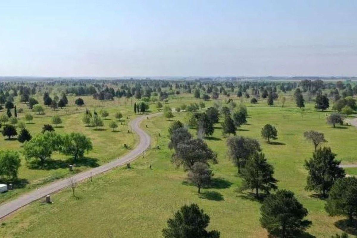 Foto de LOTE TERRENO VENTA MIRABOSQUES CARDALES 1160M2, imagen 3