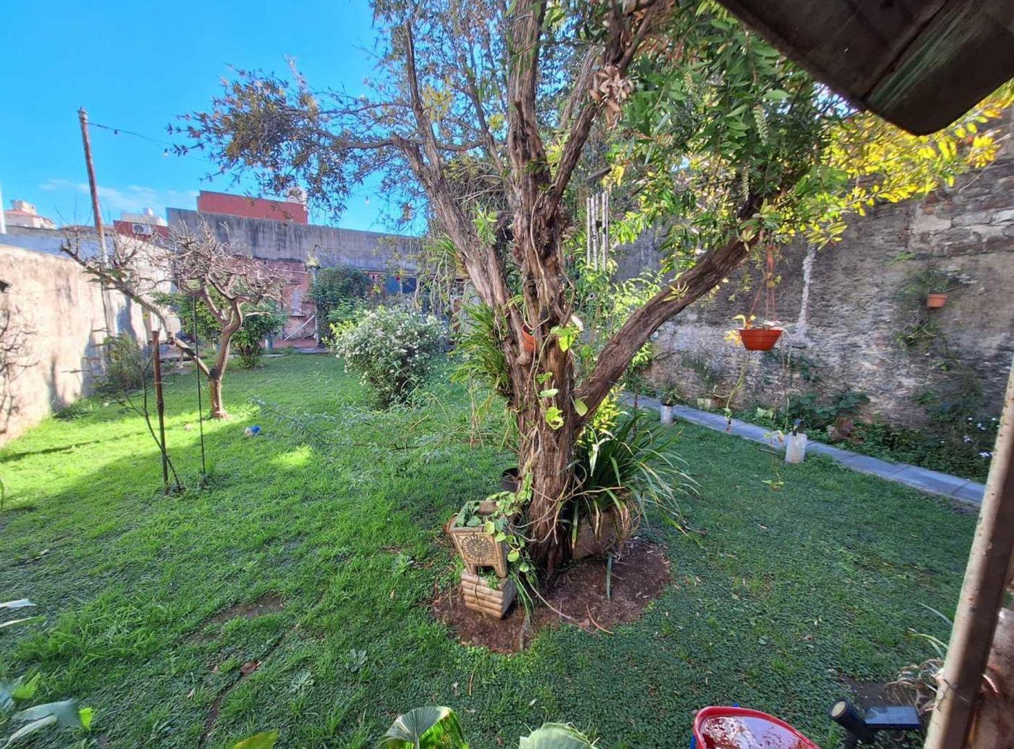 Foto de VENTA CASA 5 AMB TERRAZA JARDIN PARQUE AVELLANEDA, imagen 3