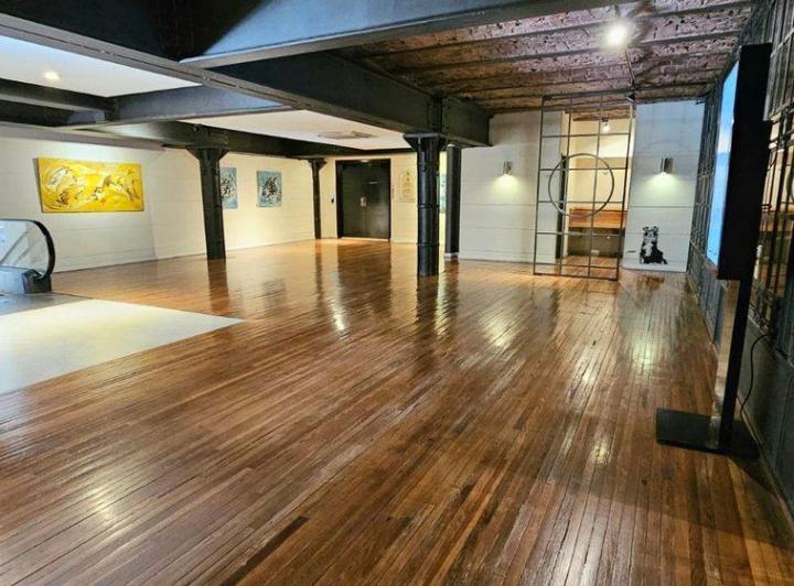 DEPARTAMENTO VENTA PALACIO RAGGIO 5