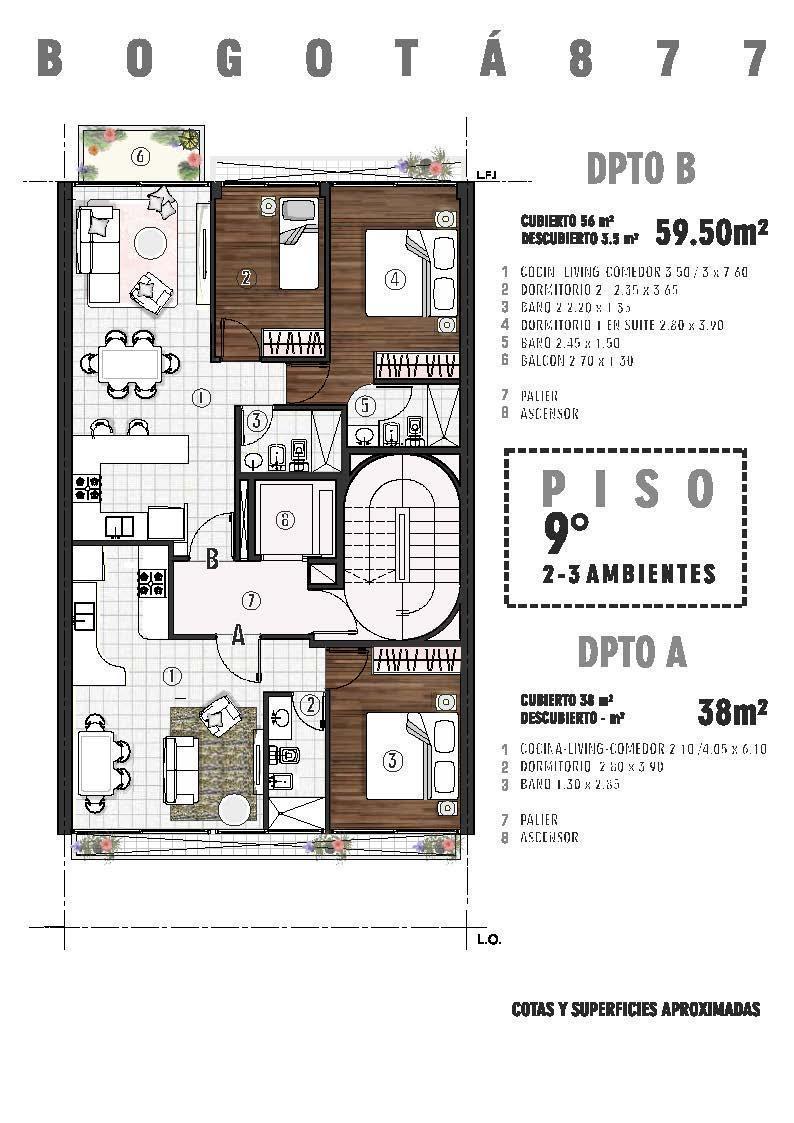 Plano 6
