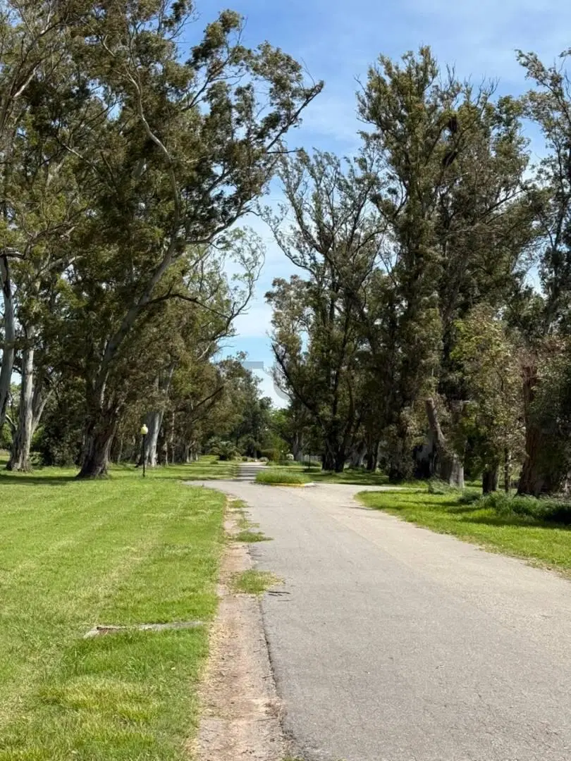 San Eliso Golf Lote de 815 con vista a la LAGUNA! Super precio y excelente oportunidad! 2