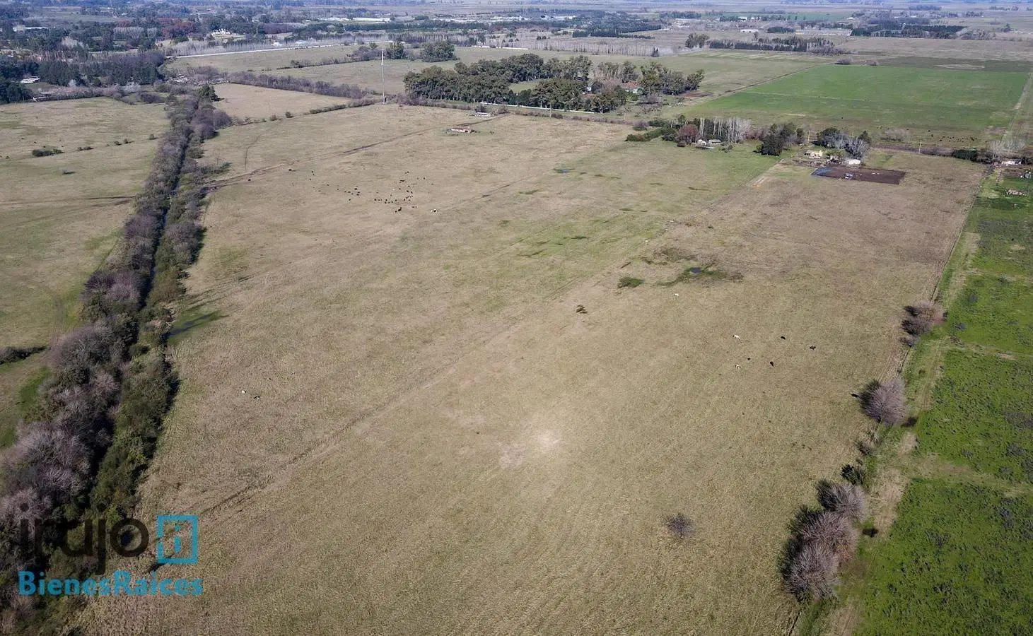 Campo de 31,5 has 2